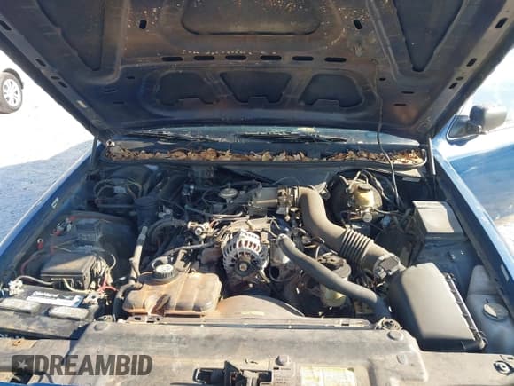 ✅ 2002 Ford Police Interceptor • VIN: 2FAFP71W72X157701 • Lot: 43719670. Listed on IAAI with 155,894 mi. Free auction sales archive from the USA and detailed vehicle history report at DreamBid. Image 10.