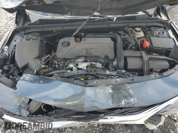 ✅ 2019 Chevrolet Malibu LS • VIN: 1G1ZB5ST8KF225457 • Лот: 71600205. Размещён на Copart с пробегом 75 546 миль миль. Получите бесплатный доступ к архиву аукционных продаж из США и посмотрите подробный отчёт об истории автомобиля на DreamBid. Изображение 11.