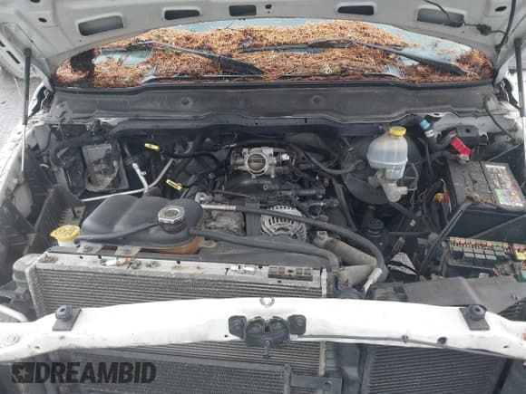 ✅ 2002 Dodge 1500 • VIN: 3D7HA18N22G114060 • Лот: 43631392. Опубликован ранее на IAAI с пробегом 157 247 миль. Бесплатный доступ к архиву аукционных продаж из США и подробный отчёт об истории автомобиля на DreamBid. Изображение 10.