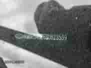 ✅ 2025 Hyundai Palisade Limited • VIN: KM8R54GE6SU823539 • Лот: 70931194. Размещён на Copart с пробегом 827 миль миль. Получите бесплатный доступ к архиву аукционных продаж из США и посмотрите подробный отчёт об истории автомобиля на DreamBid. Изображение 13.