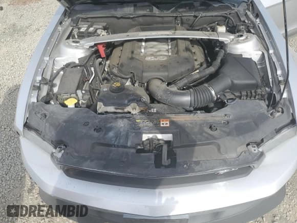 ✅ 2011 Ford Mustang GT Premium • VIN: 1ZVBP8FF7B5143996 • Lot: 80966905. Listed on Copart with 73,926 mi. Free auction sales archive from the USA and detailed vehicle history report at DreamBid. Image 11.