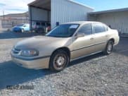 ✅ 2000 Chevrolet Impala • VIN: 2G1WF55E5Y9116878 • Лот: 43634450. Опубликован ранее на IAAI с пробегом 141 031 миль. Бесплатный доступ к архиву аукционных продаж из США и подробный отчёт об истории автомобиля на DreamBid. Изображение 2.