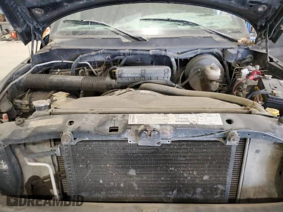 2001 Dodge 1500 with VIN 3B7HF13Z21G808073, listed as a Copart auction lot 82921674 with 146,505 mi miles and Clean title. Bid and sale history available at DreamBid. Image 11.