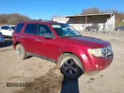 ✅ 2009 Ford Escape XLT • VIN: 1FMCU93G79KA11749 • Lot: 43662137. Listed on IAAI with 178,285 mi. Free auction sales archive from the USA and detailed vehicle history report at DreamBid. Image 1.