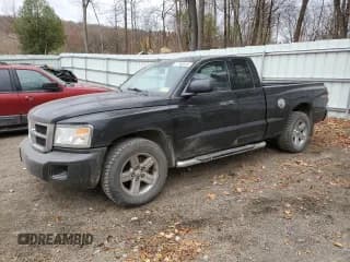 ✅ 2008 Dodge Dakota SLT • VIN: 1D7HW42N68S598408 • Лот: 77569224. Опубликован ранее на Copart с пробегом 113 949 миль. Бесплатный доступ к архиву аукционных продаж из США и подробный отчёт об истории автомобиля на DreamBid. Изображение 1.