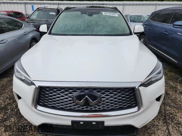 ✅ 2021 Infiniti QX50 Essential • VIN: 3PCAJ5CB8MF121989 • Lot: 69192945. Wystawiony na Copart z przebiegiem 44 000 mil. Bezpłatny archiwum sprzedaży aukcyjnych z USA i szczegółowy raport historii pojazdu na DreamBid. Zdjęcie 5.