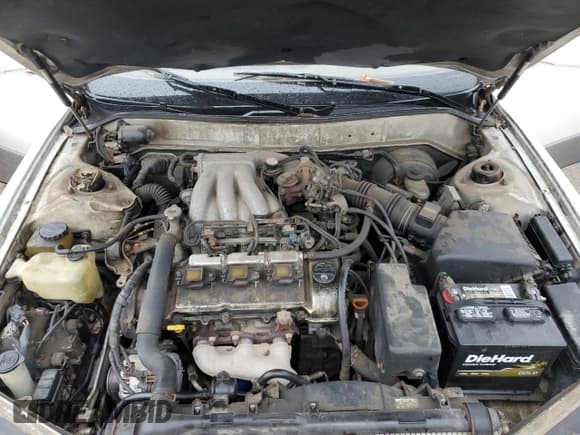 ✅ 1994 Lexus ES 300 • VIN: JT8GK13TXR0062571 • Lot: 82169594. Listed on Copart with 185,501 mi. Free auction sales archive from the USA and detailed vehicle history report at DreamBid. Image 11.