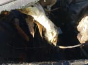 ✅ 2013 Hyundai Sonata SE • VIN: 5NPEC4AB6DH748801 • Lot: 43570293. Listed on IAAI with Not provided. Free auction sales archive from the USA and detailed vehicle history report at DreamBid. Image 8.