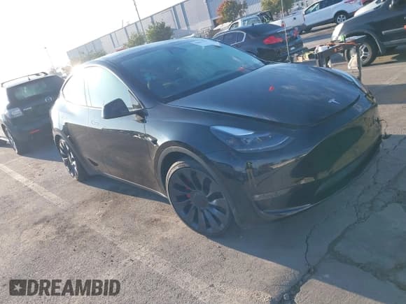 ✅ 2024 Tesla Model Y Performance • VIN: 7SAYGDEF2RF069471 • Lot: 43853119. Wystawiony na IAAI z przebiegiem 18 014 mil. Bezpłatny archiwum sprzedaży aukcyjnych z USA i szczegółowy raport historii pojazdu na DreamBid. Zdjęcie 1.