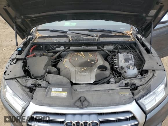 ✅ 2019 Audi SQ5 Premium Plus • VIN: WA1B4AFY3K2006540 • Лот: 60603855. Опубликован ранее на Copart с пробегом Не указан. Бесплатный доступ к архиву аукционных продаж из США и подробный отчёт об истории автомобиля на DreamBid. Изображение 12.