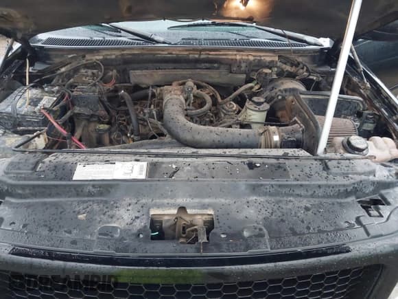 ✅ 2001 Ford F-150 XL • VIN: 1FTRX17W11NA49795 • Lot: 43803095. Listed on IAAI with Not provided. Free auction sales archive from the USA and detailed vehicle history report at DreamBid. Image 10.