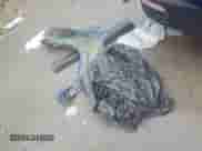 ✅ 2022 Hyundai Tucson Limited • VIN: 5NMJE3AE0NH111091 • Лот: 81309005. Размещён на Copart с пробегом 45 895 миль миль. Получите бесплатный доступ к архиву аукционных продаж из США и посмотрите подробный отчёт об истории автомобиля на DreamBid. Изображение 13.