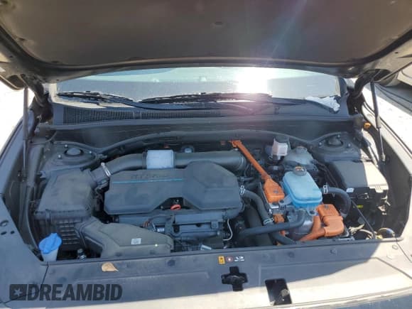 ✅ 2021 Hyundai Santa Fe Blue • VIN: KM8S2DA18MU008780 • Lot: 57113624. Wystawiony na Copart z przebiegiem 36 420 mil. Bezpłatny archiwum sprzedaży aukcyjnych z USA i szczegółowy raport historii pojazdu na DreamBid. Zdjęcie 12.