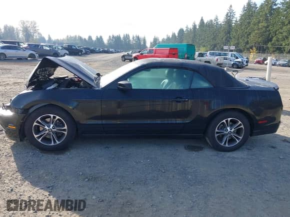 2014 Ford Mustang V6 с VIN 1ZVBP8EM9E5279440, выставлен на аукционе IAAI как лот 43498168 с пробегом 87 076 миль миль и . История ставок и продаж доступна на DreamBid. Изображение 14.