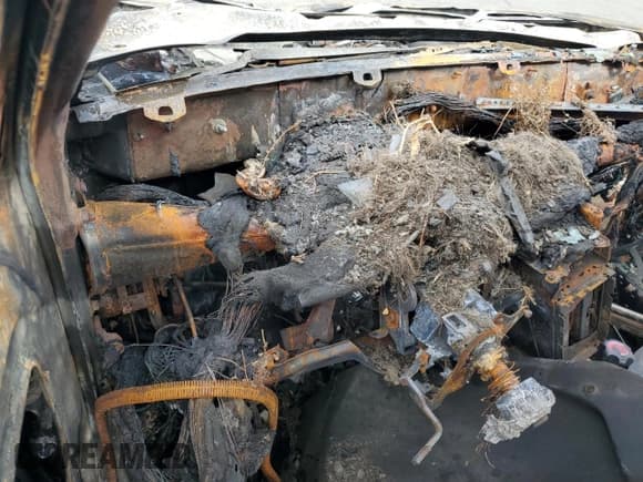 ✅ 1999 Toyota Avalon XL • VIN: 4T1BF18B0XU344946 • Лот: 85899215. Опубликован ранее на Copart с пробегом Не указан. Бесплатный доступ к архиву аукционных продаж из США и подробный отчёт об истории автомобиля на DreamBid. Изображение 9.