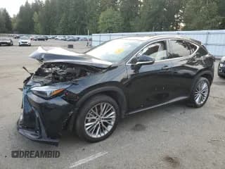 ✅ 2024 Lexus NX 350h Luxury • VIN: 2T2HKCEZ1RC016874 • Лот: 85946865. Опубликован ранее на Copart с пробегом 27 736 миль. Бесплатный доступ к архиву аукционных продаж из США и подробный отчёт об истории автомобиля на DreamBid. Изображение 1.
