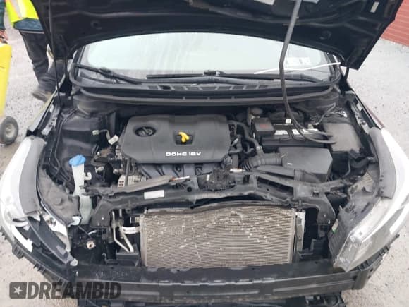 ✅ 2017 Kia Forte LX • VIN: 3KPFK4A78HE095370 • Lot: 43751295. Wystawiony na IAAI z przebiegiem 154 780 mil. Bezpłatny archiwum sprzedaży aukcyjnych z USA i szczegółowy raport historii pojazdu na DreamBid. Zdjęcie 10.