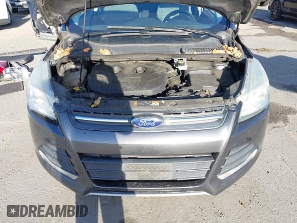 ✅ 2015 Ford Escape SE • VIN: 1FMCU0G94FUA32176 • Lot: 43629257. Wystawiony na IAAI z przebiegiem 121 960 mil. Bezpłatny archiwum sprzedaży aukcyjnych z USA i szczegółowy raport historii pojazdu na DreamBid. Zdjęcie 10.