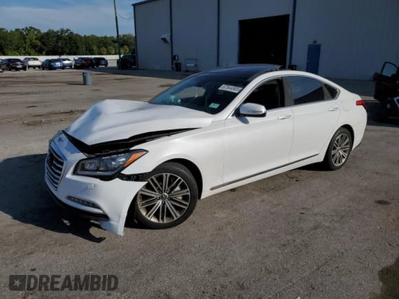 ✅ 2017 Genesis G80 3.8L • VIN: KMHGN4JE9HU171783 • Lot: 67544905. Listed on Copart with 89,540 mi. Free auction sales archive from the USA and detailed vehicle history report at DreamBid. Image 1.