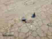 2017 Mitsubishi Outlander ES with VIN JA4AP3AU4HZ066796, listed as a Copart auction lot 91186015 with 289,806 mi miles and Clean title. Bid and sale history available at DreamBid. Image 13.