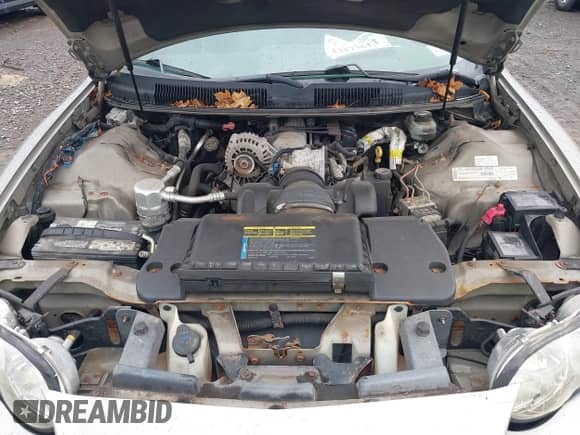 1999 Chevrolet Camaro с VIN 2G1FP22K9X2104522, выставлен на аукционе IAAI как лот 43473613 с пробегом 172 172 миль миль и . История ставок и продаж доступна на DreamBid. Изображение 10.