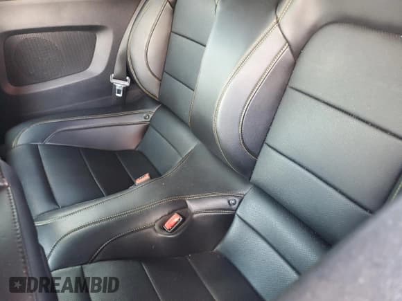 ✅ 2017 Ford Mustang GT Premium • VIN: 1FATP8FF1H5271320 • Lot: 67266195. Listed on Copart with 50,176 mi. Free auction sales archive from the USA and detailed vehicle history report at DreamBid. Image 10.