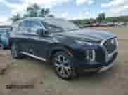 ✅ 2020 Hyundai Palisade SEL • VIN: KM8R4DHE9LU160602 • Лот: 52412204. Размещён на Copart с пробегом 83 266 миль миль. Получите бесплатный доступ к архиву аукционных продаж из США и посмотрите подробный отчёт об истории автомобиля на DreamBid. Изображение 4.