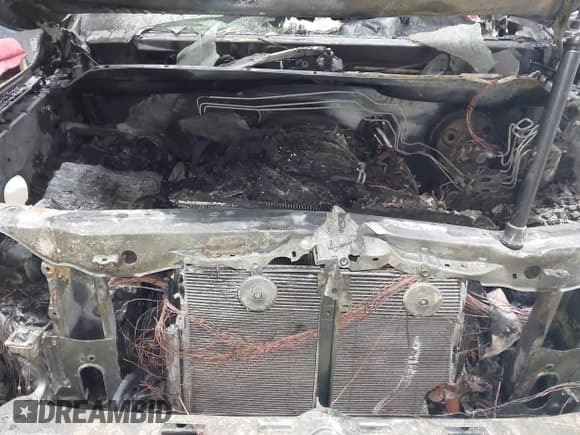 ✅ 2016 Toyota Tundra SR5 • VIN: 5TFDY5F1XGX490987 • Лот: 41492917. Опубликован ранее на IAAI с пробегом Не указан. Бесплатный доступ к архиву аукционных продаж из США и подробный отчёт об истории автомобиля на DreamBid. Изображение 10.