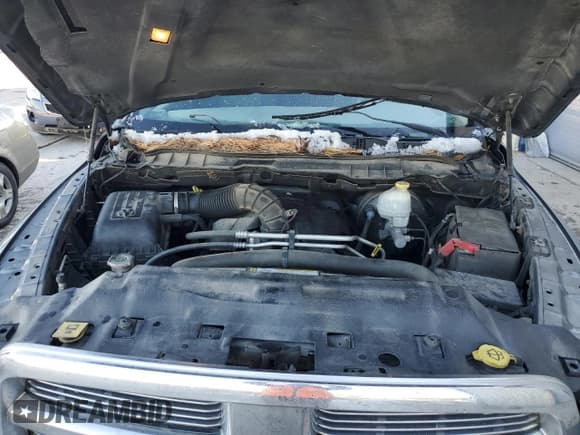 ✅ 2010 Dodge 1500 SLT • VIN: 1D7RV1GT1AS204977 • Lot: 88058195. Wystawiony na Copart z przebiegiem 276 882 mil. Bezpłatny archiwum sprzedaży aukcyjnych z USA i szczegółowy raport historii pojazdu na DreamBid. Zdjęcie 11.