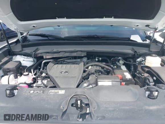 ✅ 2024 Lexus TX 350 • VIN: 5TDAAAA6XRS005002 • Lot: 42246675. Wystawiony na IAAI z przebiegiem 10 540 mil. Bezpłatny archiwum sprzedaży aukcyjnych z USA i szczegółowy raport historii pojazdu na DreamBid. Zdjęcie 10.