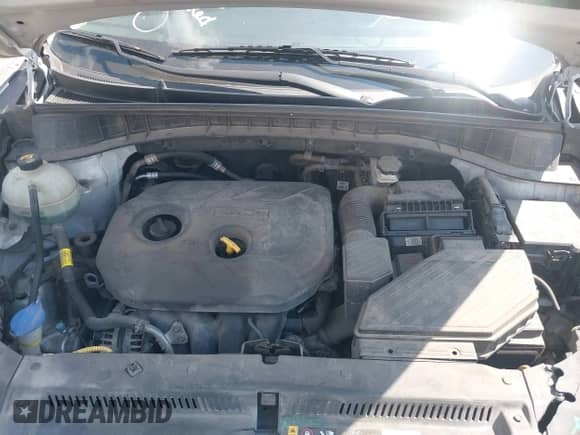 2018 Hyundai Tucson SEL z VIN KM8J33A42JU666992, wystawiony jako IAAI lot #43267251 z przebiegiem 116 154 mil mil oraz . Historia ofert i sprzedaży dostępna na DreamBid. Obrazek 10.