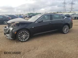✅ 2025 Cadillac CT5 Premium Luxury • VIN: 1G6DS5RW8S0102006 • Lot: 81751655. Wystawiony na Copart z przebiegiem 8 295 mil. Bezpłatny archiwum sprzedaży aukcyjnych z USA i szczegółowy raport historii pojazdu na DreamBid. Zdjęcie 1.