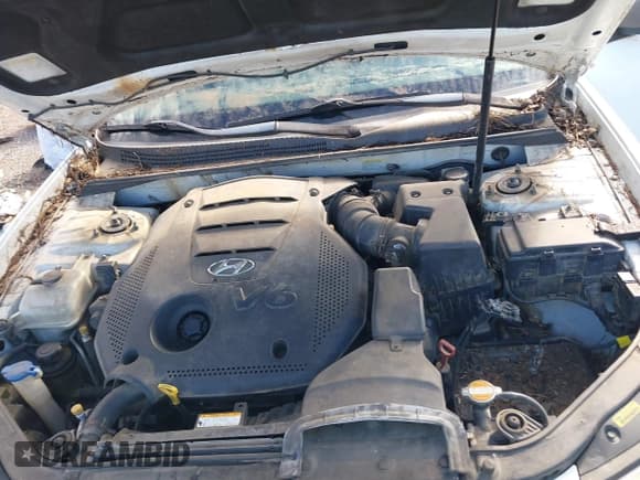 ✅ 2009 Hyundai Sonata GLS • VIN: 5NPET46F09H470450 • Лот: 41310835. Опубликован ранее на IAAI с пробегом 181 944 миль. Бесплатный доступ к архиву аукционных продаж из США и подробный отчёт об истории автомобиля на DreamBid. Изображение 10.