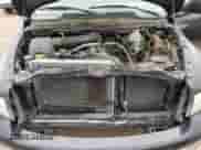 2002 Dodge 1500 with VIN 3D7HU18Z82G124571, listed as a Copart auction lot 65449724 with 228,926 mi miles and Salvage title. Bid and sale history available at DreamBid. Image 11.