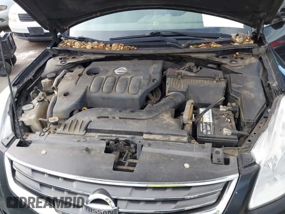 ✅ 2011 Nissan Altima S • VIN: 1N4AL2AP5BC178173 • Lot: 43670409. Listed on IAAI with 165,281 mi. Free auction sales archive from the USA and detailed vehicle history report at DreamBid. Image 10.