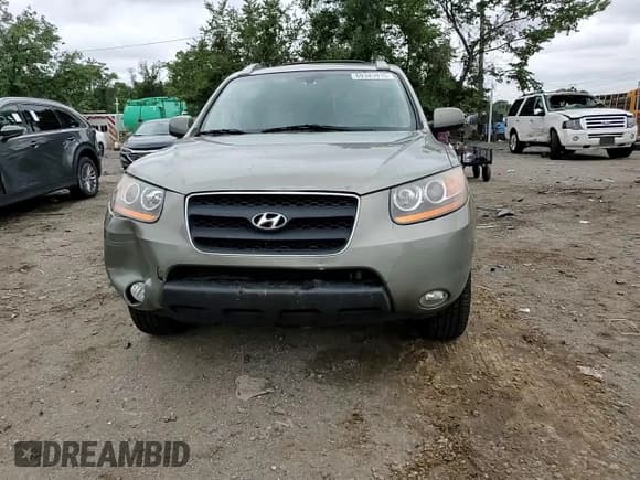 ✅ 2009 Hyundai Santa Fe SE • VIN: 5NMSH13E09H306997 • Lot: 69345915. Listed on Copart with 141,655 mi. Free auction sales archive from the USA and detailed vehicle history report at DreamBid. Image 14.