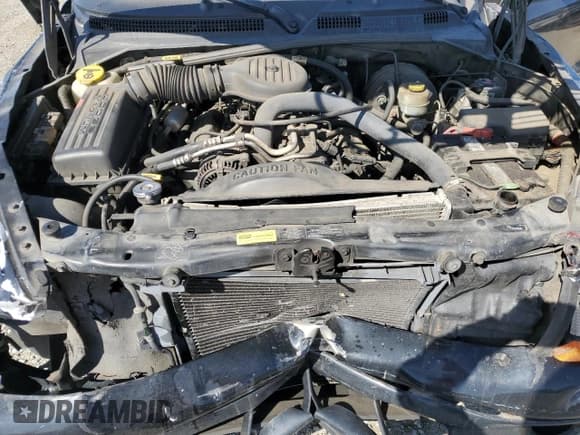 ✅ 1999 Dodge Durango • VIN: 1B4HR28Z2XF698848 • Lot: 89729315. Wystawiony na Copart z przebiegiem 227 050 mil. Bezpłatny archiwum sprzedaży aukcyjnych z USA i szczegółowy raport historii pojazdu na DreamBid. Zdjęcie 12.