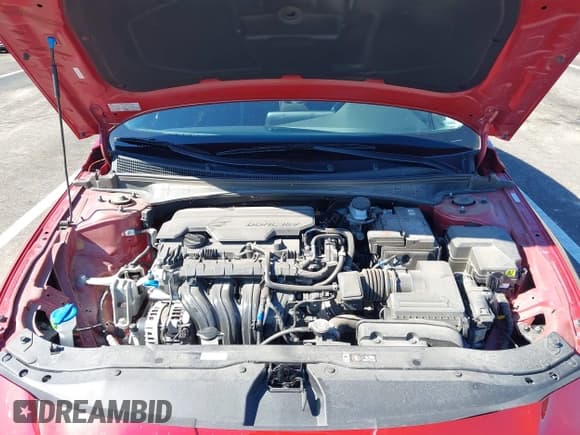 ✅ 2025 Hyundai Elantra SEL Convenience • VIN: KMHLS4DG3SU906088 • Lot: 43623215. Wystawiony na IAAI z przebiegiem 16 408 mil. Bezpłatny archiwum sprzedaży aukcyjnych z USA i szczegółowy raport historii pojazdu na DreamBid. Zdjęcie 10.