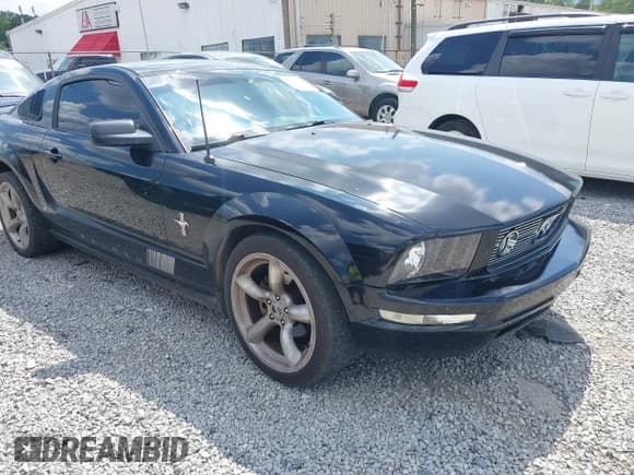 ✅ 2006 Ford Mustang Standard • VIN: 1ZVFT80N665237807 • Lot: 41680830. Listed on IAAI with 123,965 mi. Free auction sales archive from the USA and detailed vehicle history report at DreamBid. Image 1.