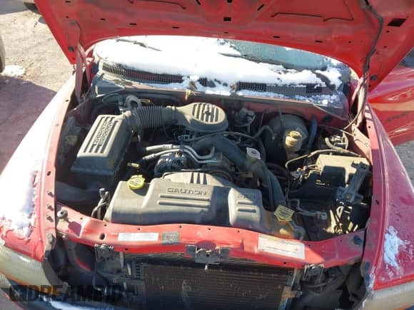 2000 Dodge Dakota with VIN 1B7FL26X5YS516338, listed as a IAAI auction lot 41609489 with 216,058 mi miles and . Bid and sale history available at DreamBid. Image 10.