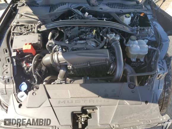 2025 Ford Mustang EcoBoost Premium with VIN 1FAGP8UH4S5120985, listed as a Copart auction lot 87439615 with Not provided miles and Clean title. Bid and sale history available at DreamBid. Image 11.