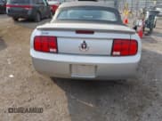 ✅ 2009 Ford Mustang • VIN: 1ZVHT84N095114611 • Lot: 43427616. Listed on IAAI with 81,282 mi. Free auction sales archive from the USA and detailed vehicle history report at DreamBid. Image 16.