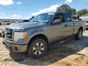 ✅ 2013 Ford F-150 XL • VIN: 1FTFX1EFXDFD98393 • Lot: 70146365. Listed on Copart with 205,145 mi. Free auction sales archive from the USA and detailed vehicle history report at DreamBid. Image 1.