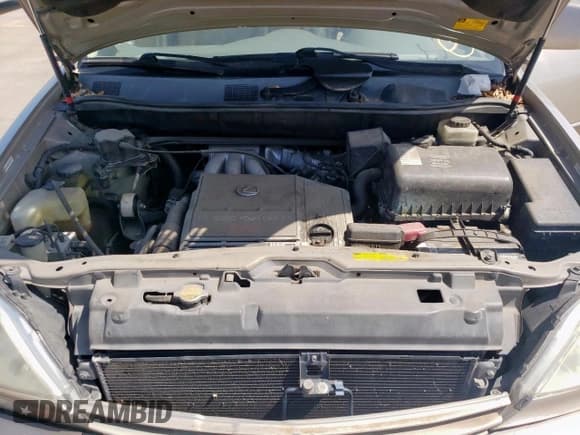 ✅ 2001 Lexus RX 300 • VIN: JTJGF10U310089003 • Lot: 61542885. Listed on Copart with 262,471 mi. Free auction sales archive from the USA and detailed vehicle history report at DreamBid. Image 12.