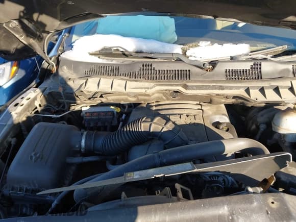 ✅ 2009 Dodge 1500 SLT • VIN: 1D3HV13T09J505020 • Lot: 41328108. Wystawiony na IAAI z przebiegiem 177 778 mil. Bezpłatny archiwum sprzedaży aukcyjnych z USA i szczegółowy raport historii pojazdu na DreamBid. Zdjęcie 10.