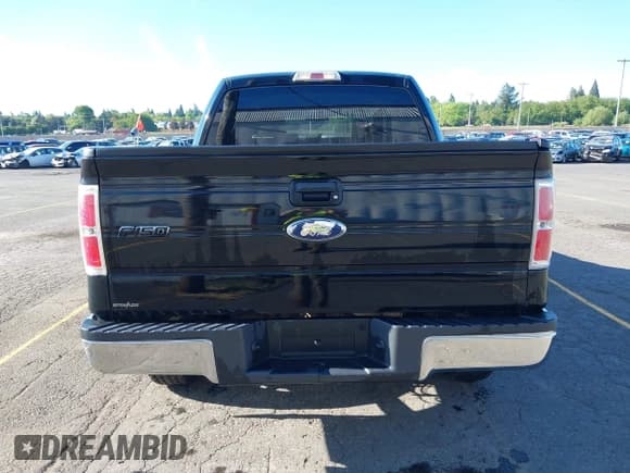 ✅ 2009 Ford F-150 XL • VIN: 1FTRW14809FA66019 • Lot: 42190218. Listed on IAAI with 197,727 mi. Free auction sales archive from the USA and detailed vehicle history report at DreamBid. Image 16.