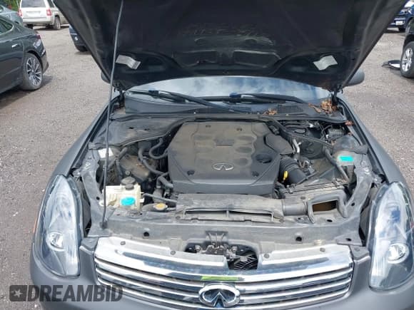 ✅ 2003 Infiniti G35 • VIN: JNKCV51E13M317934 • Лот: 42680012. Опубликован ранее на IAAI с пробегом 155 748 миль. Бесплатный доступ к архиву аукционных продаж из США и подробный отчёт об истории автомобиля на DreamBid. Изображение 10.