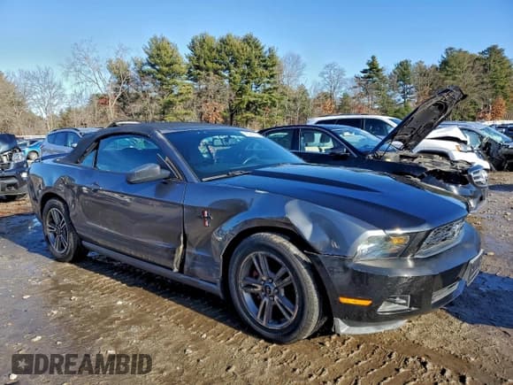 ✅ 2010 Ford Mustang V6 • VIN: 1ZVBP8EN0A5173915 • Lot: 95241225. Listed on Copart with 203,088 mi. Free auction sales archive from the USA and detailed vehicle history report at DreamBid. Image 4.
