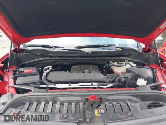 ✅ 2023 Chevrolet Silverado 1500 Custom Trail Boss • VIN: 3GCPDCEK3PG202089 • Lot: 42170434. Wystawiony na IAAI z przebiegiem 55 542 mil. Bezpłatny archiwum sprzedaży aukcyjnych z USA i szczegółowy raport historii pojazdu na DreamBid. Zdjęcie 10.