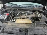 ✅ 2020 Ford F-150 XL • VIN: 1FTEW1CP8LFC28896 • Lot: 85106835. Listed on Copart with 116,675 mi. Free auction sales archive from the USA and detailed vehicle history report at DreamBid. Image 14.